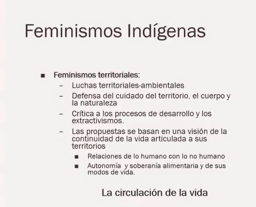 Feminismos indígenas en resistencia al antropoceno